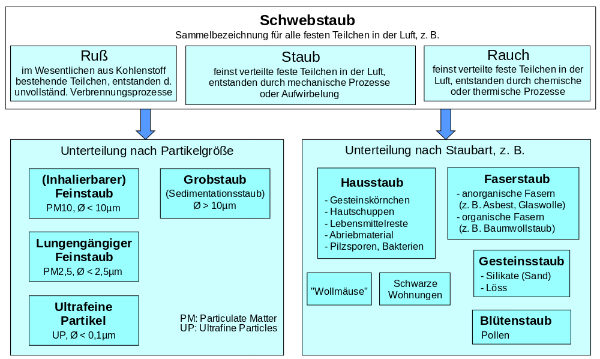 @wikipedia – Wissen aus der deutschsprachigen Wikipedia / Antonsusi