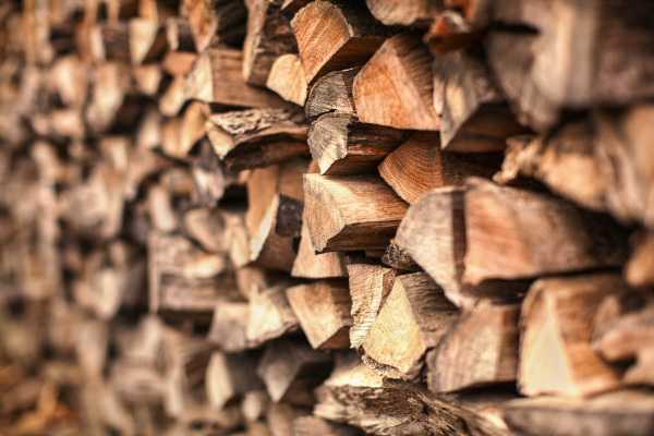 Holz als natürliches Material