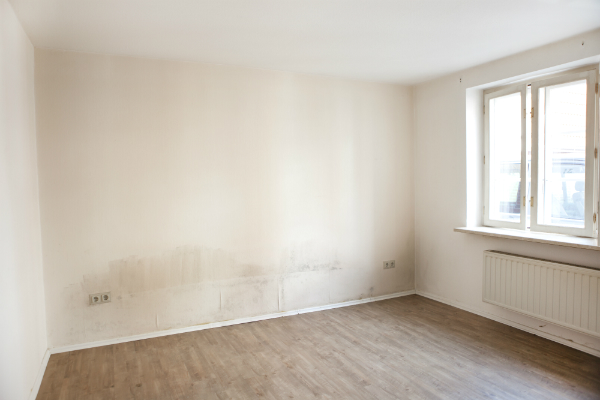 Schimmel an Hauswand © purplequeue / Fotolia.com