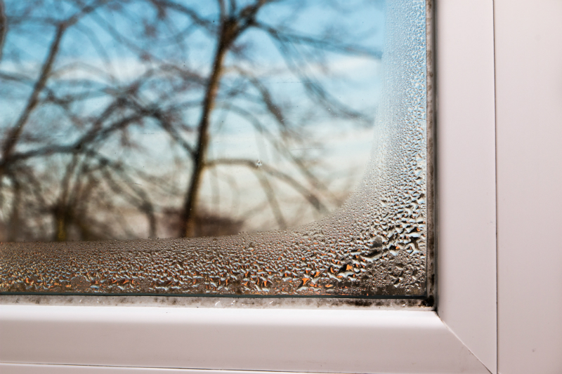 Kondenswasser am Fenster: Was kann ich dagegen tun? - 4B