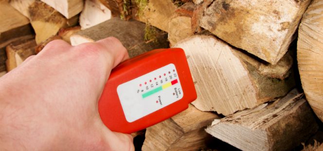 Die Holzfeuchte und das Klima