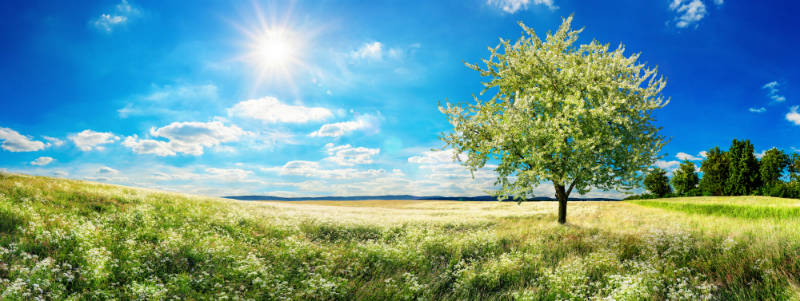 Der Sommer kommt