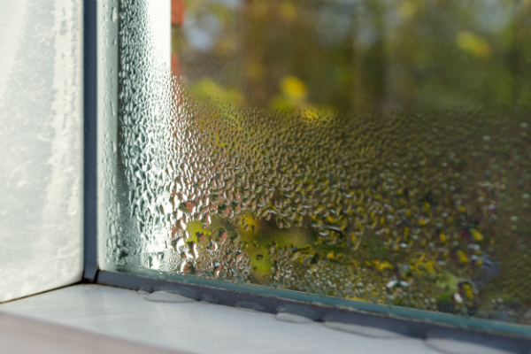 Hilfe, mein Fenster beschlägt von innen - BRUNE Magazin