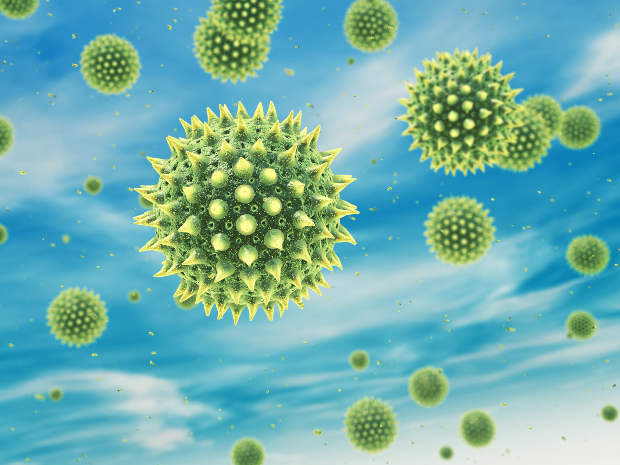 Fremdpartikel wie Pollen sind in der Raumluft allgegenwärtig - Reine Luft gibt es auch in der Natur nicht 