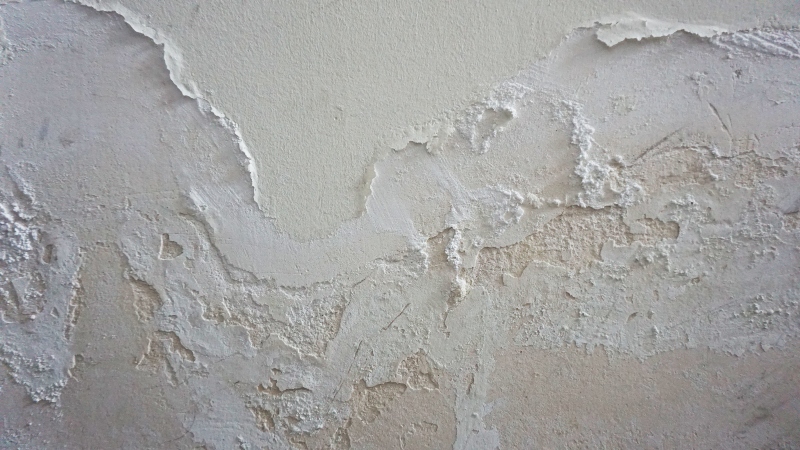 Schimmelbeseitigung im Haus - Schimmel von Wänden und Decken entfernen