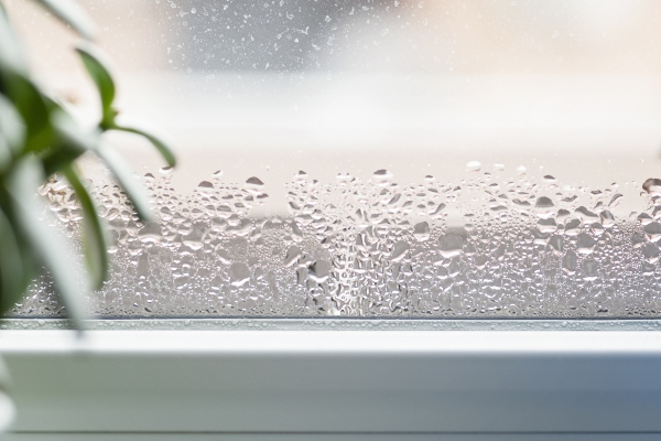 Wasserkondensation auf Fensterglas Feuchtraum