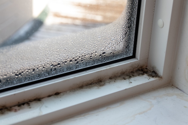 Fenster mit Kondenswasser mit Schimmel - Feuchteschäden in der Wohnung
