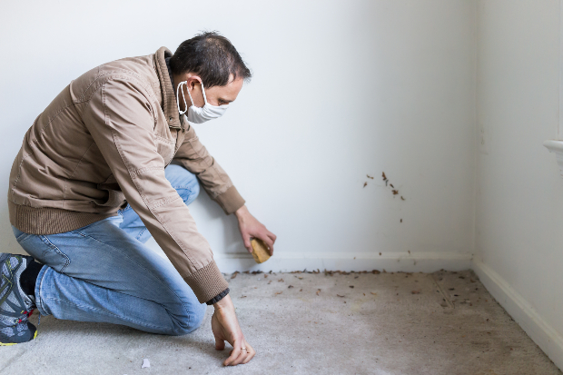 Mann schaut auf großflächige Schimmelflecken in einer Wohnung - Schimmel auf Teppich und Tapete