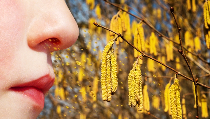 Junge Frau atmet Ponnen ein - Pollenallergie